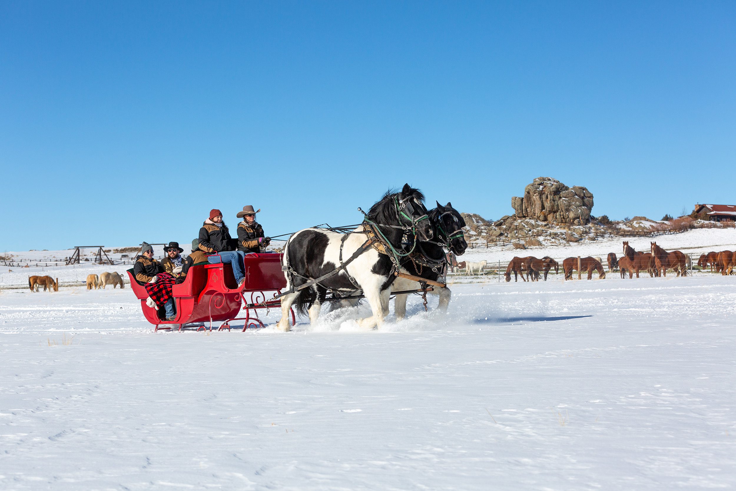 Luxury Sleigh Rides