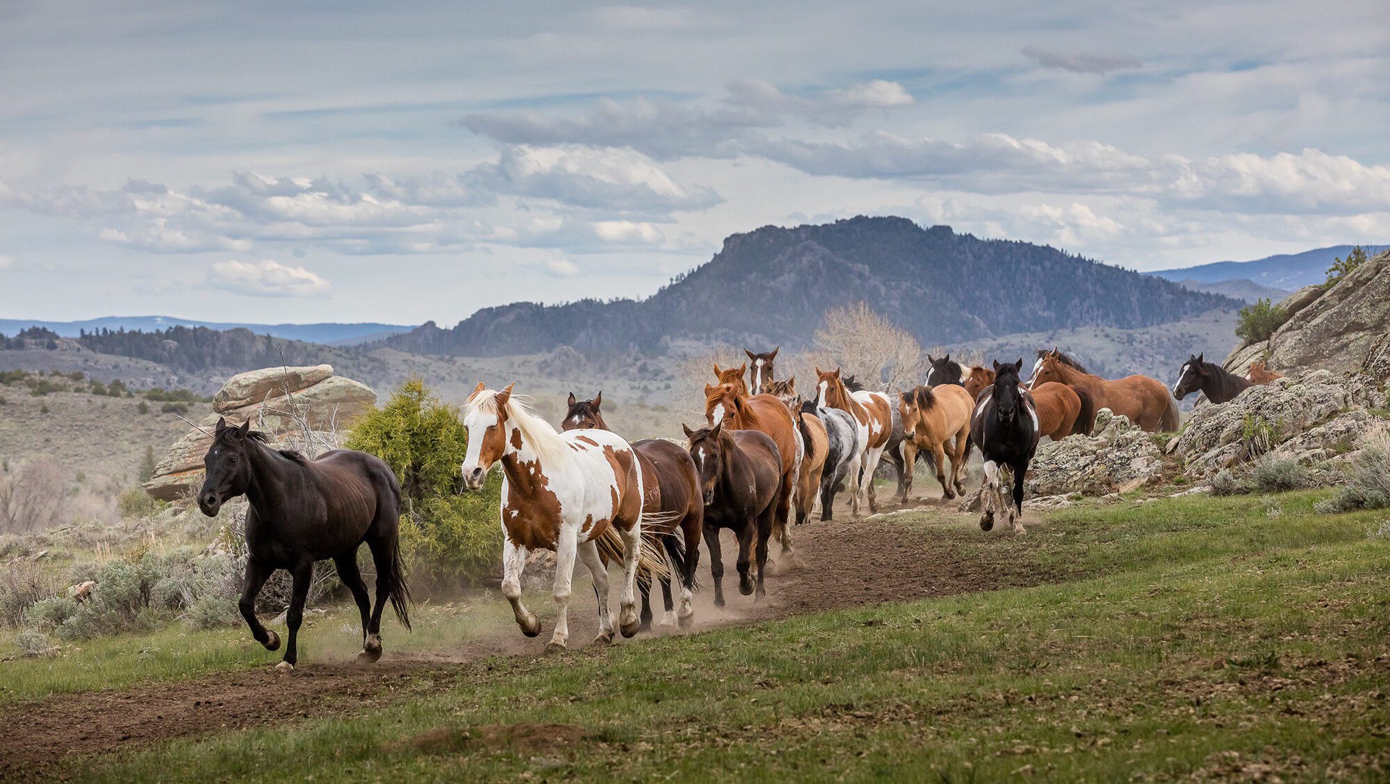 Luxury Dude Ranch in Wyoming